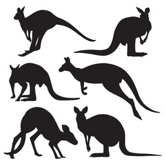 Kangaroo silhouette bundle