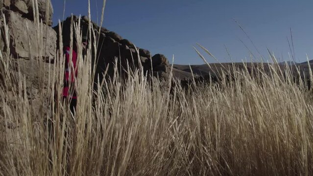 hombre andino con poncho rojo, chullo y sombrero negro caminando en un pajal de Per&uacute; Arequipa