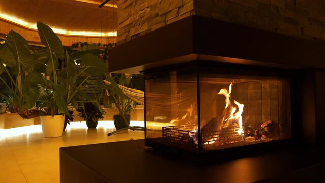 Burning fireplace for relaxing mood in indoor jungle filled with tropical plants. Beautiful exotic houseplants with bold and vibrant greenery and comfortable hammock for cosy evenings in living room.