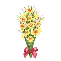 daffodil bouquet with red bow and willow on white. Watercolor hand drawing illustration. Art for decoration and design