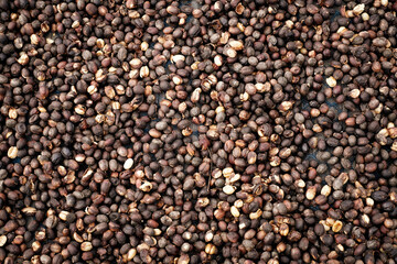 Coffee Processing ,Natural Dry Process ,Pulped-natural, Semi-dry Process ,Honey Process, Cherry coffee beans, yellow coffee ripeness dry . 
