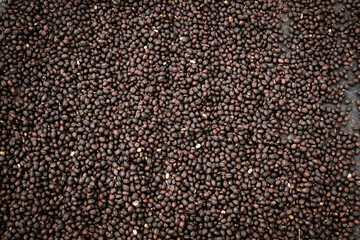 Coffee Processing ,Natural Dry Process ,Pulped-natural, Semi-dry Process , dry black coffee seeds.