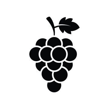 grape icon vector design template in white background
