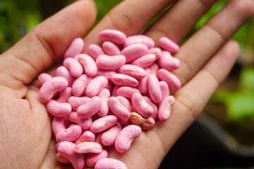 Stock Photo of vegetable and fruit grains