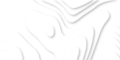 Abstract Luxury paper cut background, Abstract decoration, white pattern lines gradients, 3d Vector illustration, topographic canyon map light relief texture, curved layers.