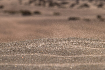 sanddune rippling surface of dry sand dune