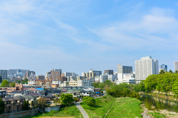 新緑の杜の都　仙台
