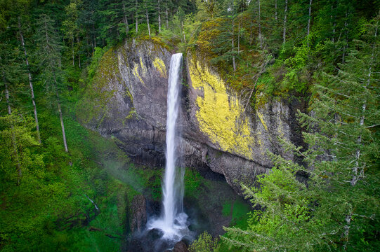waterfall in the forest