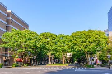 新緑の杜の都　仙台
