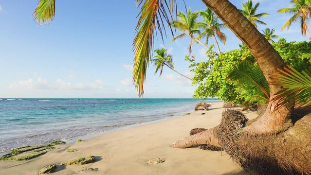 Landscape view of calm waves of sea water with orange sunlight at sunset. Evening beach on an island. Exotic coast with palms. Summer holidays, rest in amazing picturesque nature. Relaxing paradise.