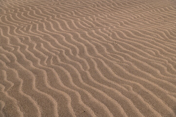 sanddune rippling surface of dry sand dune