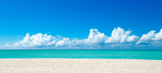 Fototapeta premium tropical Maldives island with white sandy beach and sea