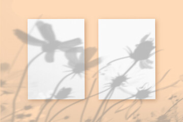 2 vertical sheets of white textured paper against a orange wall background. Mock up with an overlay of plant shadows. Natural light casts shadows from a branch of flowers Cosmea