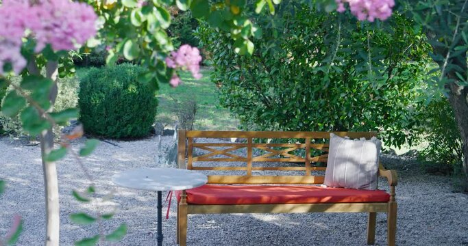 A pretty wooden bench in a garden surrounded by laurel
