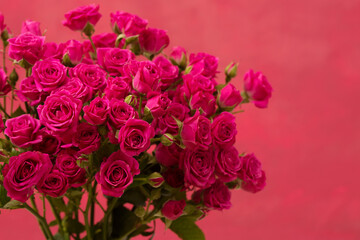 A beautiful bouquet of pink roses on a pink background
