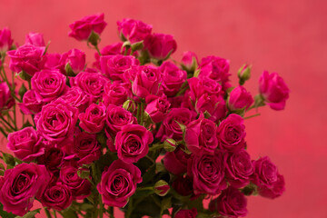 A bouquet of pink roses on a pink background