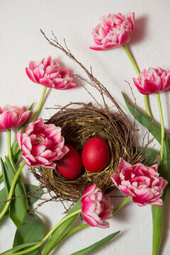 A nest with painted eggs is decorated with beautiful pink tulips on a white background