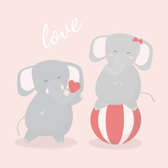 vector illustration design with cute cartoon elephant couple