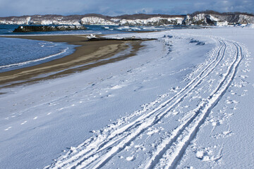 海岸で歩くスキー