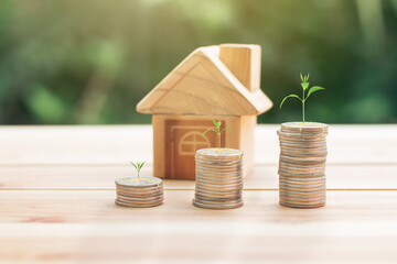 The tree grows on coins. House placed on coins. planning savings money of coins to buy a home concept for property, mortgage and real estate investment. for saving or investment for a house.