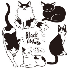 Vector in black and white illustration of cats
