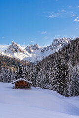 Fototapeta na wymiar Baite alpine e chalet in mezzo alla neve in un panorama montano e con bosco