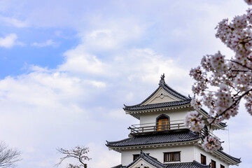 白石城と桜
