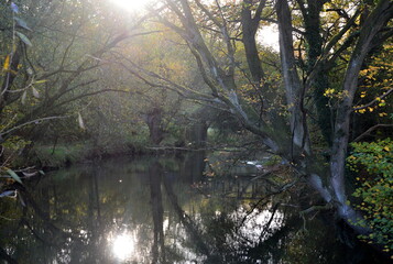 Landscape in Autumn at the River Böhme in the Town Walsrode, Lower Saxony