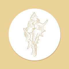 Hand drawn conch shell sticker, aquatic life illustration