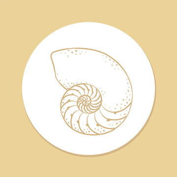 recommend clip art: Hand drawn spiral seashell sticker, aquatic marine life illustration