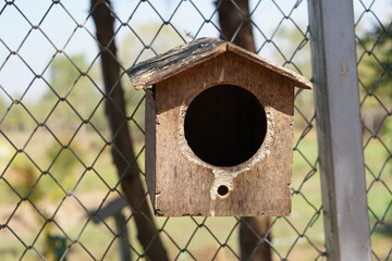 Parrot's house in the park