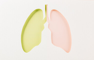 World tuberculosis day. Lungs paper cutting decorative symbol on white background, copy space, concept of world TB day, no tobacco, banner background, respiratory, lung cancer awareness, 24 March