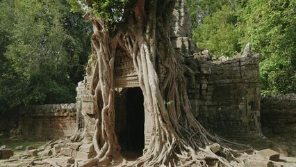 The Khmer temple of Ta Som - Tree growing atop the historical main gateway