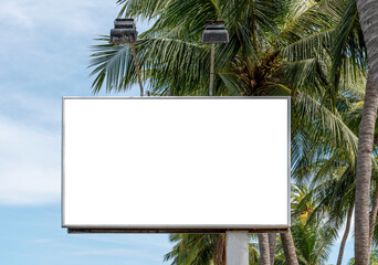 Outdoor pole billboard on coconut tree and blue sky background with mock up white screen and...