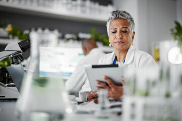 Woman, reading or tablet in science laboratory in medical research or innovation ideas of genetic...
