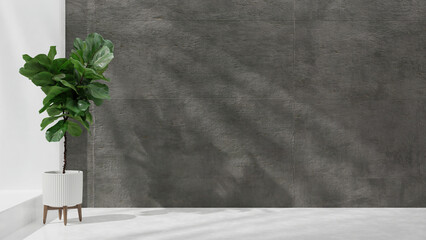 3d render of an empty wall with a plant