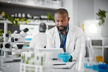 Plant scientist, tablet or thinking in science laboratory for medical research, innovation or ideas for genetic gmo engineering. Black man, worker or biologist on technology for growth sustainability - obrazy, fototapety, plakaty