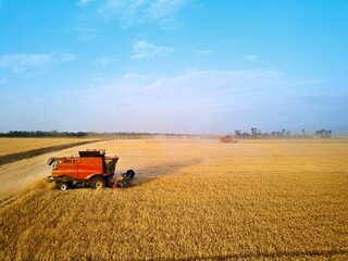Fototapeta premium Aerial drone photo of red harvester working in wheat field on sunset. Combine harvesting machine driver cutting crop in farmland. Organic farming. Agriculture theme, harvesting season.