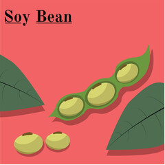 leaf with water drops , green soy bean, pink back ground, for banner , flyer, power point, presentation, brochure