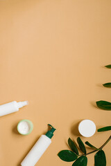 Minimal composition with skin care cosmetics and green on a pastel beige background. Flat lay, copy space.