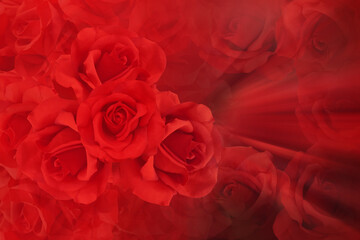 texture red rose flowers bouquet on blur red roses flower and red background, nature, love, valentine, buddha, banner, template, copy space