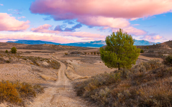 Aragon countryside landscape at sunset- Spain