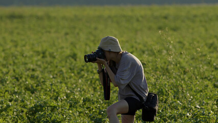 Young woman tourist photographer travels and takes pictures in plant field. young ecologist watches growing vegetables or animals in field. girl photographs objects in green field of potatoes.