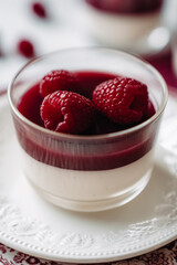 dessert with strawberries fresh mousse pannacotta berry jelly monochrome photo red and white photo sweets on english porcelain retro tableware