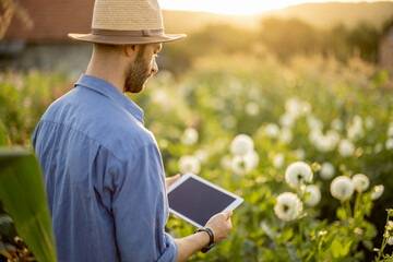 Man in hat as farmer works with a digital tablet on flower farm, examining dahlias during sunset. Concept of new technologies in agriculture. View on screen with blank space