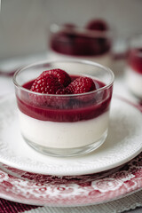 dessert with strawberries fresh mousse pannacotta berry jelly monochrome photo red and white photo sweets on english porcelain retro tableware