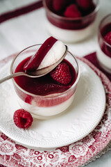 dessert with strawberries fresh mousse pannacotta berry jelly monochrome photo red and white photo...