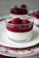 dessert with strawberries fresh mousse pannacotta berry jelly monochrome photo red and white photo sweets on english porcelain retro tableware