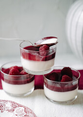 dessert with strawberries fresh mousse pannacotta berry jelly monochrome photo red and white photo sweets on english porcelain retro tableware