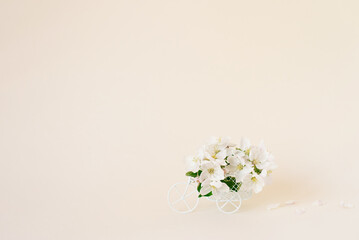 A bicycle toy with white flowers on a beige background. The concept of celebration, banner. Copy space. The concept of the beginning of spring and the holiday